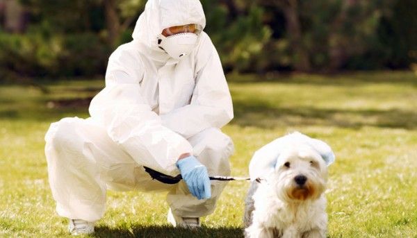 Person Wearing White Protective Suit Sitting On Green Grass 3985286 700