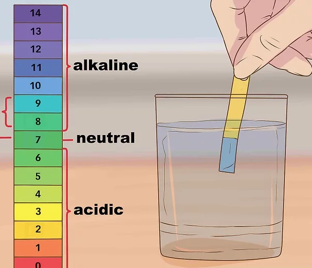 pH टेस्ट से पता चलता है कि पानी कितना एसिडिक है. (तस्वीर : Wikihow)