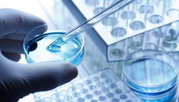 Ivf Ivi Uk Petri Dish 700