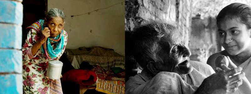 Pather Panchali Indir Thakuran Like Character In Gulabo Sitabo