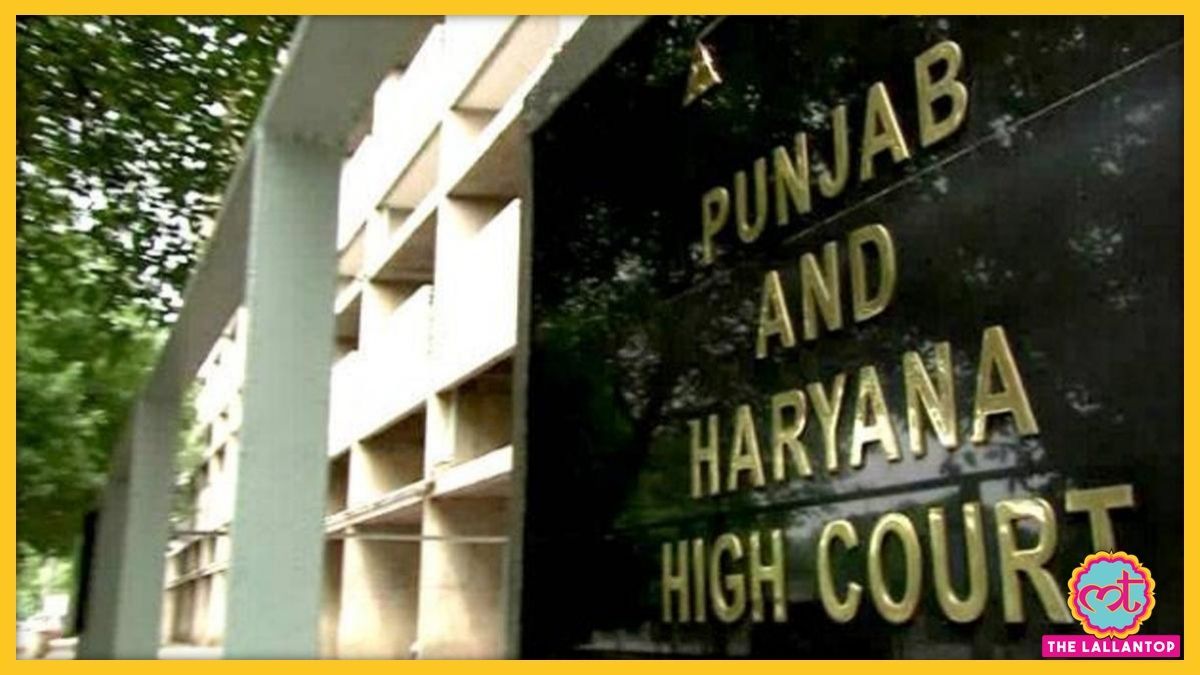 पंजाब और हरियाणा हापंजाब और हरियाणा हाईकोर्ट ने शादी शुदा महिला और उसके प्रेमी के रिश्ते को अनैतिक करार देते हुए दोनों पर 25 हजार रुपये का जुर्माना लगा दिया. ईकोर्ट.