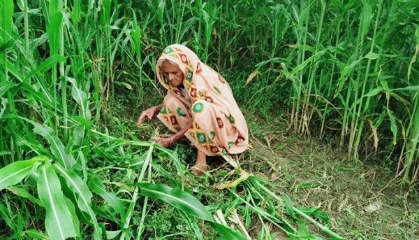 Tijiya Nani 2 700x400