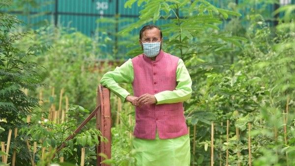 प्रकाश जावडेकर अभी देश के पर्यावरण मंत्री हैं. लेकिन आलोचक उनके मंत्रालय को 'क्लीयरेंस मिनिस्ट्री' कहने लगे हैं. 