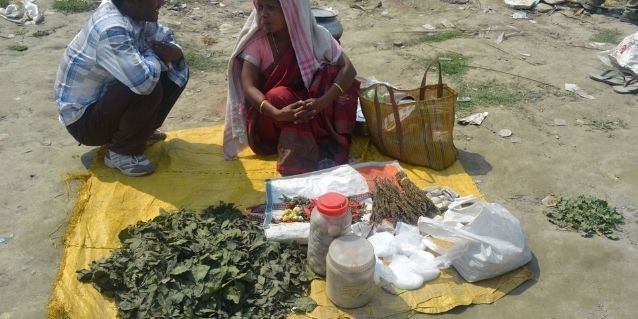 असम में भांग बेचती महिला. (विकिमीडिया)