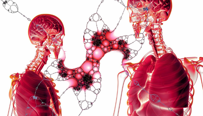 शरीर की कोशिकाएं