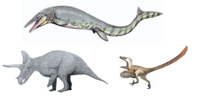 पानी, ज़मीन औऱ आसमान तीनों से कई प्रजातियां गायब हो गईं. (विकिमीडिया)