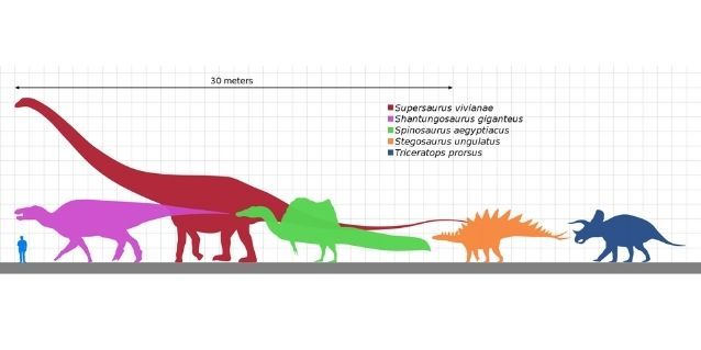 डायनासोर औऱ मानव की आकार में तुलना. (विकिमीडिया)