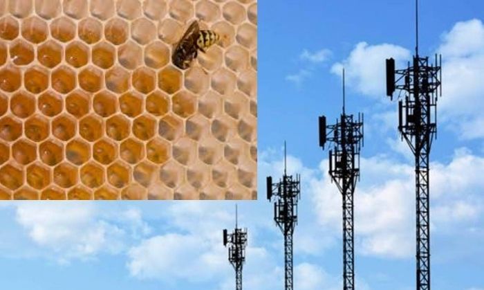 मोबाइल टावर, मधुमक्खी के छत्ते से इंस्पायर्ड लगते हैं.