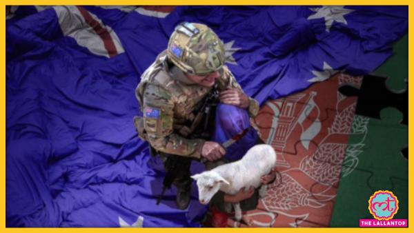 Lijian Zhao Fake Image Tweet