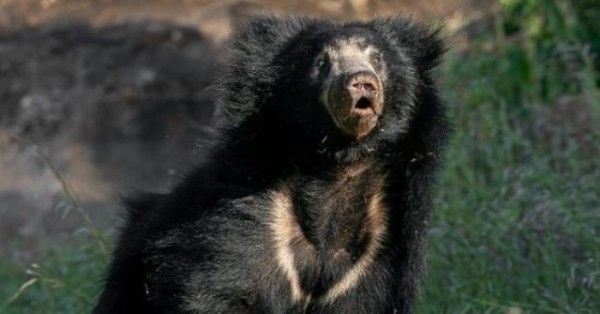 Untitled Design (60)