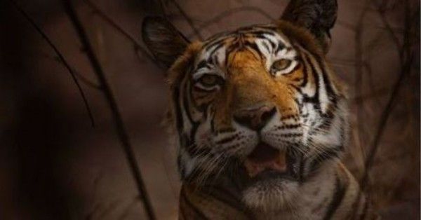 Untitled Design (61)