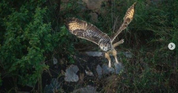 Untitled Design (62)