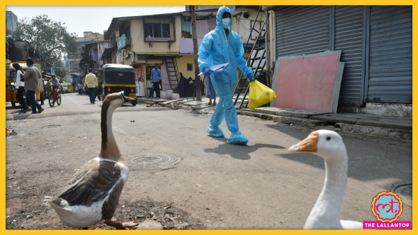 Lockdown Maharashtra