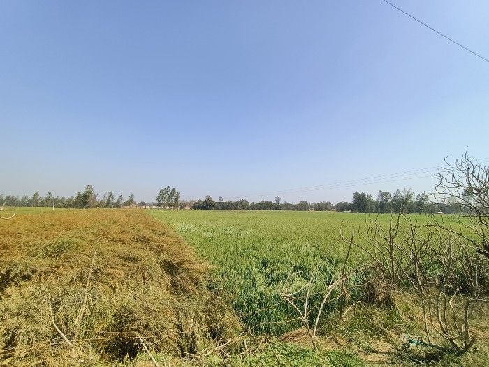 अल्ट्रावाइड से खींची हु ईइस पिक्चर में रंग और इक्स्पोज़र सही आए हैं. Ultrawide 1