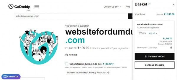 Website Domain Name Purchase