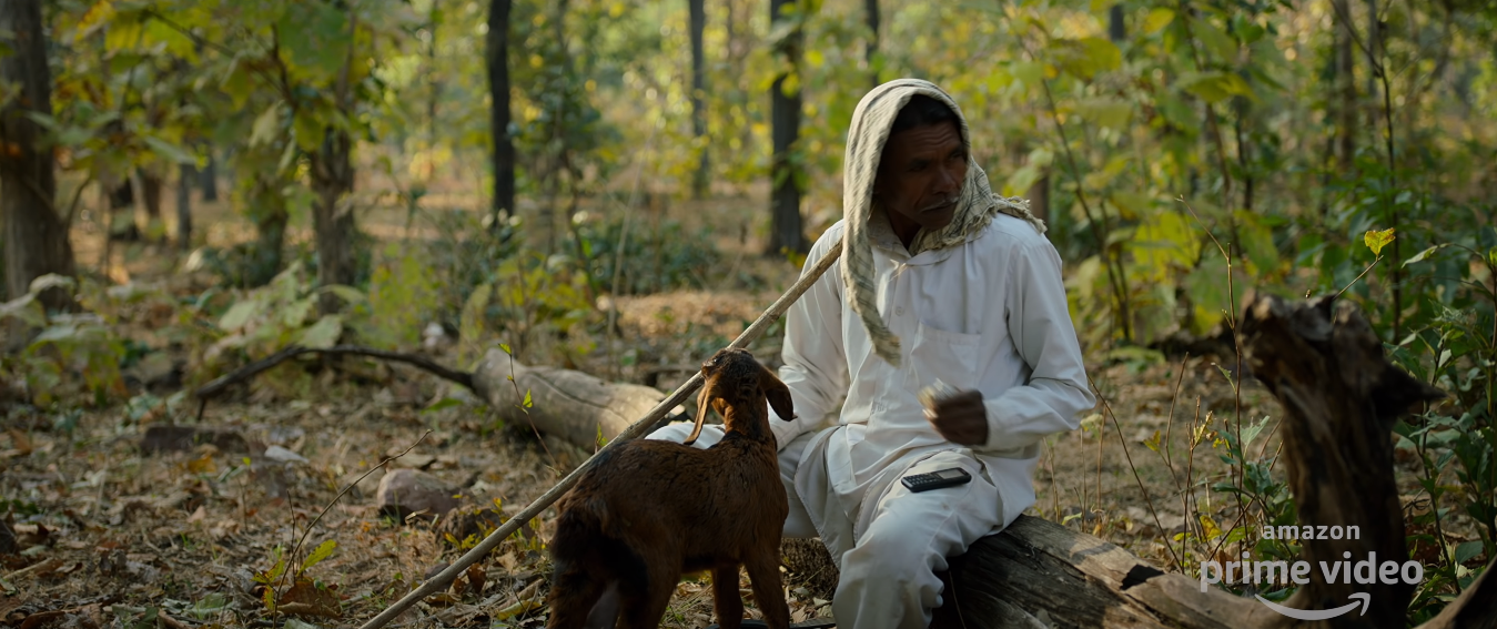 अपनी बकरियों को चराने जंगल लाया एक गांव वाला. अपनी बकरियों को चराने जंगल लाया एक गांव वाला.
