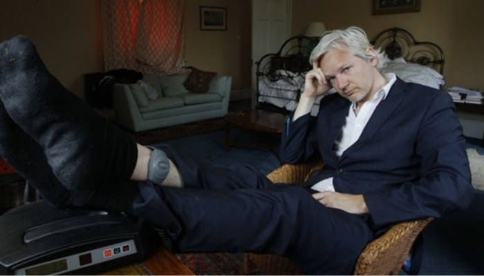 Assange (1)
