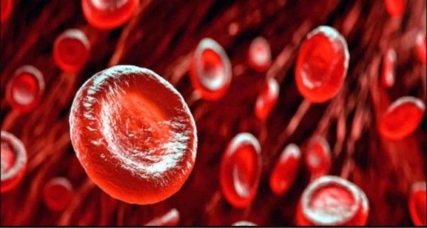 प्लेटलेट्स. (सांकेतिक तस्वीर- इंडियाटुडे)