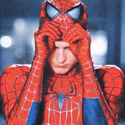 "कौन हूं मैं ?? मैं हूं स्पाइडरमैन"
