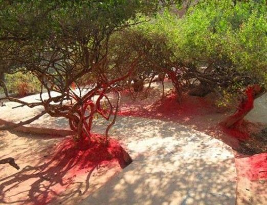 3 012617035544 090318090607 3 012617035544 090318090607