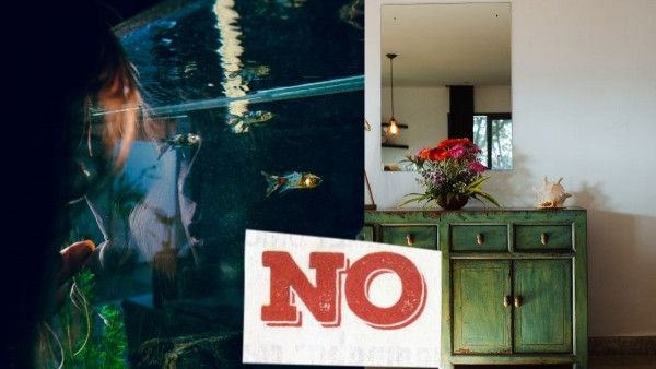 Untitled Design (2) Untitled Design (2)