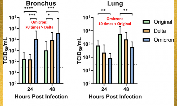 बार चार्ट (फोटो साभार- Univeristy of Hongkong)
