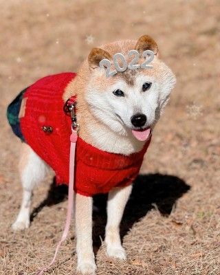 271223304 989926201925373 698424854824993293 N