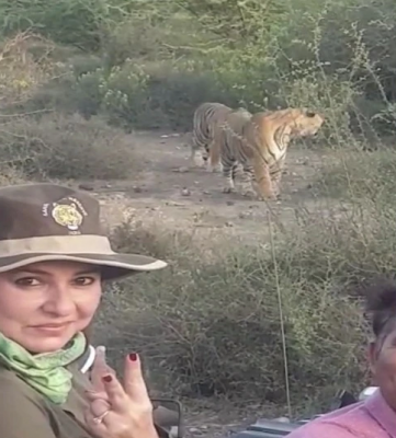 सरिस्का में टाइगर साइटिंग करती अंजली तेंदुलकर (फोटो आजतक)