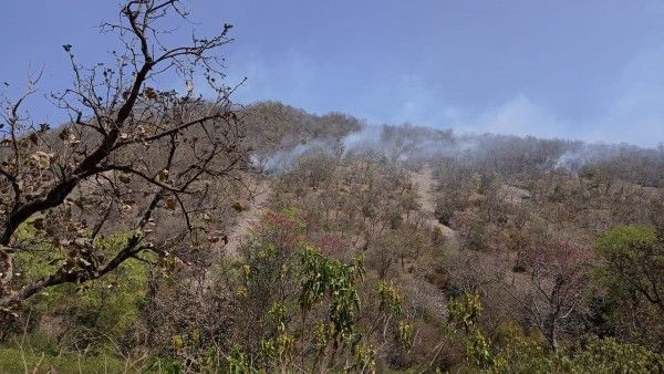 जंगल में लगी आग से उठता धूआं (फोटो आजतक)