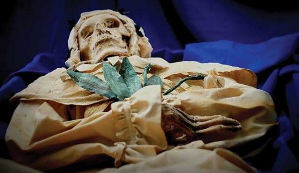 मिस्र की ममियों के हड्डी में टीबी के घावों के सबूत मिले.