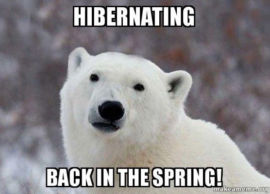 Hibernating Back In