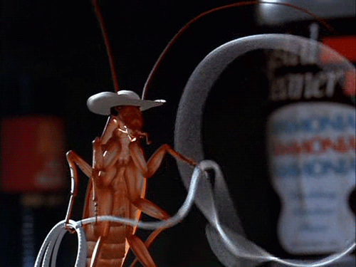 SURVIVAL COCKROACH