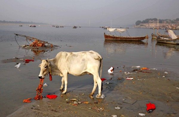 इलाहाबाद की तस्वीर है. Photo: AP