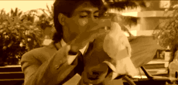 salman playing with pigeon