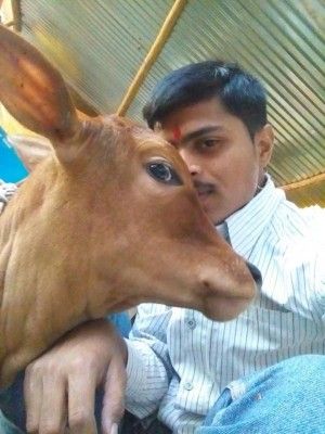 selfie with cow 6